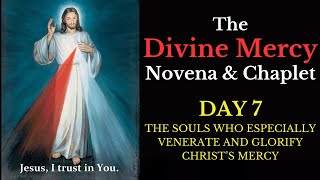 Divine Mercy Novena amp Chaplet  Day 7 [upl. by Onaivatco890]