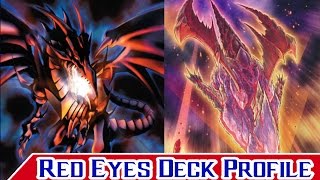 Red Eyes Deck Profile with Invasion of Vengeance Support [upl. by Naujik]