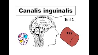 Die Anatomie des Leistenkanals einfach erklärt Canalis inguinalis Teil 1 [upl. by Rosenberg]