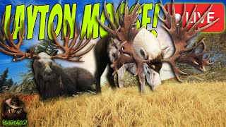 The Map Is Half Herd Managed Already Layton Lakes Great One Moose Grind IS INSANE Call of the wild [upl. by Eiramrefinnej]