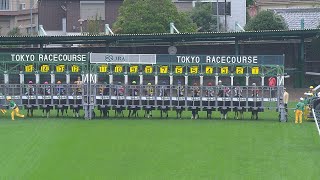 2024 TENNO SHO Autumn G1  JRA Official [upl. by Arakal]