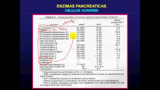 Lipidos digestion y absorción [upl. by Blockus]