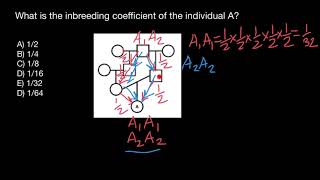 Inbreeding Coefficient explained [upl. by Ilzel687]