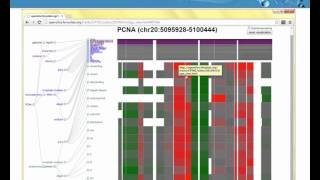 Utilizing genomics for proteomics data analysis David Fenyo NYU Medical School December 3 2014 [upl. by Novit]