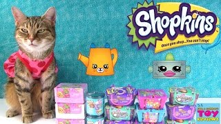 Shopkins 2 Pack Blind Basket Season 1 2 3 4 Food Fair Fashion Spree Opening  PSToyReviews [upl. by Sells43]