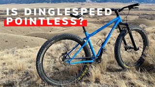 My First Time Riding Dinglespeed  Double SS MTB  Surly Ice Cream Truck 29 Bike [upl. by Asher]