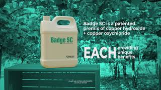 Badge® SC BactericideFungicide Overview from Gowan Company [upl. by Ahtibbat170]