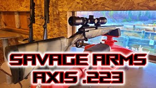 Savage Arms Axis 223 Rifle Review [upl. by Aeriel]