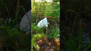 Muestras de Aguas en Agricultura Ecológica agriculturaecológica analisis [upl. by Bertha623]