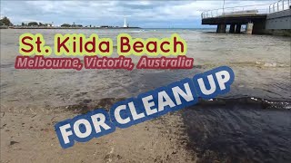 Spring Season at St Kilda Beach  For Clean up  Melbourne Victoria [upl. by Korry]