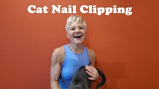 Cat Nail Clipping [upl. by Socrates]