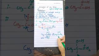 Mechanism of formation of ester organic chemistry class 12 [upl. by Hedwiga]