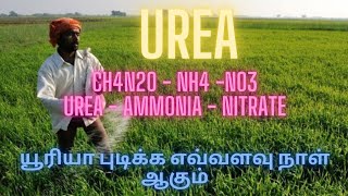 UREA FERTILIZER USE FOR PLANT NITRIFICATION HYDROLYSIS EXPLAINED NANO UREA [upl. by Enimassej]