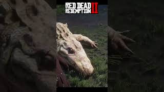 rdr2 rdr260fps rdrgameplay gaming arthurmorgan reddeadredemption [upl. by Mcintyre]