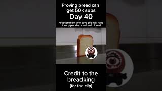 Proving bread can get 50k subs day 40 memes makethisgoviral breadgang sub2blaideplayz bread bre [upl. by Emmerich]