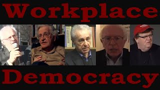 Workplace Democracy [upl. by Ariek]