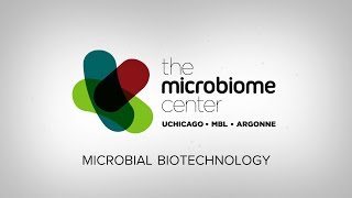 Microbial Biotechnology with Dion Antonopoulos [upl. by Frederich]