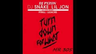 DJ SNAKE ft LIL JON amp PITBULL amp LUDACRIS quot Turn Down For What quot  dj pyzon remix [upl. by Ymor]