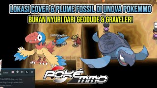 PokeMMO Cover amp Plume Fossil Location Archen [upl. by Nymsaj]