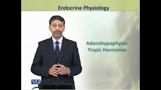 Adenohypophysis Tropic Hormones  Physiology Theory  ZOO519TTopic048 [upl. by Athena82]