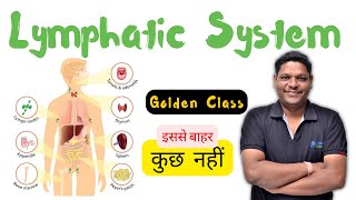 🚨 Lymphatic System Anatomy amp Physiology  BSc Nursing  B Pharm  Free Online Class  Bhushan [upl. by Lienaj]