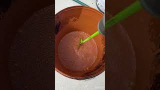 How to spray paint a fence easily diyfencepaintshortsviral [upl. by Rialc]