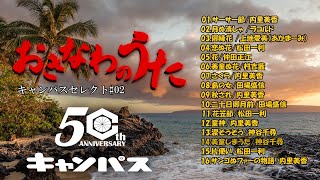 沖縄民謡メドレー2 癒しの沖縄音楽でリラックス気分【快眠 熟睡用BGM】【作業用BGM】【沖縄の歌】【琉球民謡 】 [upl. by Keefer382]