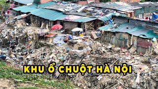 Hóa Ra Đây Là Khu Ổ Chuột ở Hà Nội [upl. by Emmeram630]