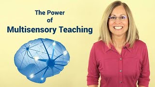 Could Multisensory Instruction Help Your Student [upl. by Acisseg]