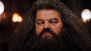 Hagrids Tale [upl. by Dane]