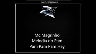 Mc Magrinho  Melodia do Pam Pam Pam Pam Hey DJS LC DO JACA E BRENO DE SG [upl. by Edi479]