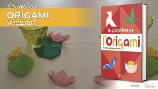 Confithèque  tuto  nénuphars en origami [upl. by Dowlen]