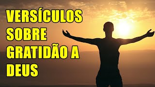 15 Versículos Sobre Gratidão a Deus Na Bíblia Sagrada [upl. by Thurmond]