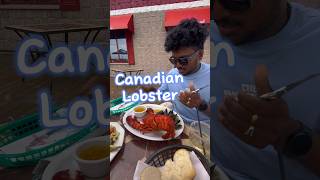 First Time Trying Lobster in CB Canada  How to Break amp Eat It Like a Pro shortsfeed shorts [upl. by Acirtap736]