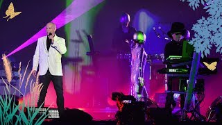 Pet Shop Boys  Always On My Mind Radio 2 Live in Hyde Park 2019 [upl. by Atinav]