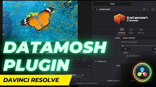 Datamosh Fuse Plugins for Davinci Resolve  Real Datamoshing inside Fusion [upl. by Ebonee]