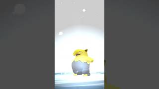 Pokemon Go game  Drowzee evolve into Hypno music song pokemon pokemongo [upl. by Ellis602]