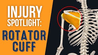 Injury Spotlight Rotator Cuff Injuries amp Pain [upl. by Ordnasela]