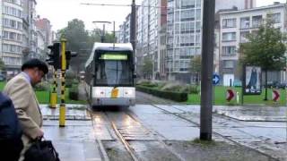 Antwerpen Hermelijn Low Floor Trams [upl. by Ajram]