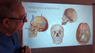 Hueso Esfenoides y Etmoides Topografía y anatomía aplicada [upl. by Aidnac]