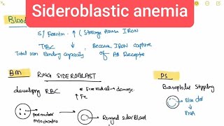 Sideroblastic anemia haematology 36 First Aid USMLE Step 1 in UrduHindi [upl. by Clemens]