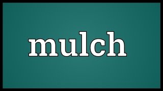 Mulch Meaning [upl. by Almeida]