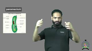 quotParameciumquot  Indian Sign Language Tutorial  Learn How to Sign [upl. by Ahseile387]