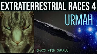 Extraterrestrial Races Urmahs Feline Race Swaruu  Extraterrestrial Pleiadian Communication [upl. by Rinum]