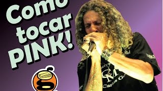 Gaita iniciante  Como tocar Pink  Harmônica   Gaita de boca [upl. by Llerraf]