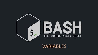 3Bash Scripting  Variables [upl. by Calendra]