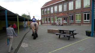 Paarden op school [upl. by Ash722]