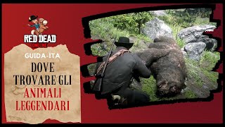 Red Dead Redemption 2 Dove trovare gli animali leggendari ITA [upl. by Damiano]