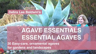 Agave Essentials 30 easycare ornamental agaves for gardens and landscapes [upl. by Foscalina]