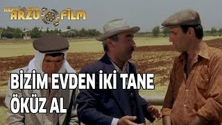 Git Bizim Evden 2 Tane Öküz Al  Kibar Feyzo [upl. by Philan]